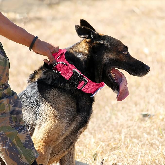 Tactical Military Collar - Adjustable Nylon, Heavy Duty Metal Buckle with Handle for Dog Training, with Patches (Pink, L)