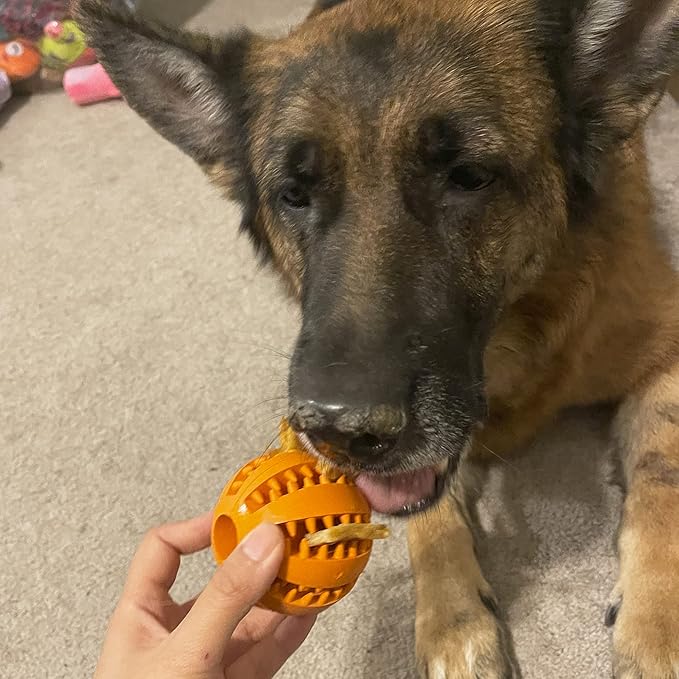 Jalousie Dog Puzzle Balls Dog Treat Dispensing Balls Non-Toxic Natural Rubber Dog Chew Toys for Puppy Pet Dog Teething Puzzle Playing Treat Dispenser Rope Balls (Large, 6 Pack Assorted)