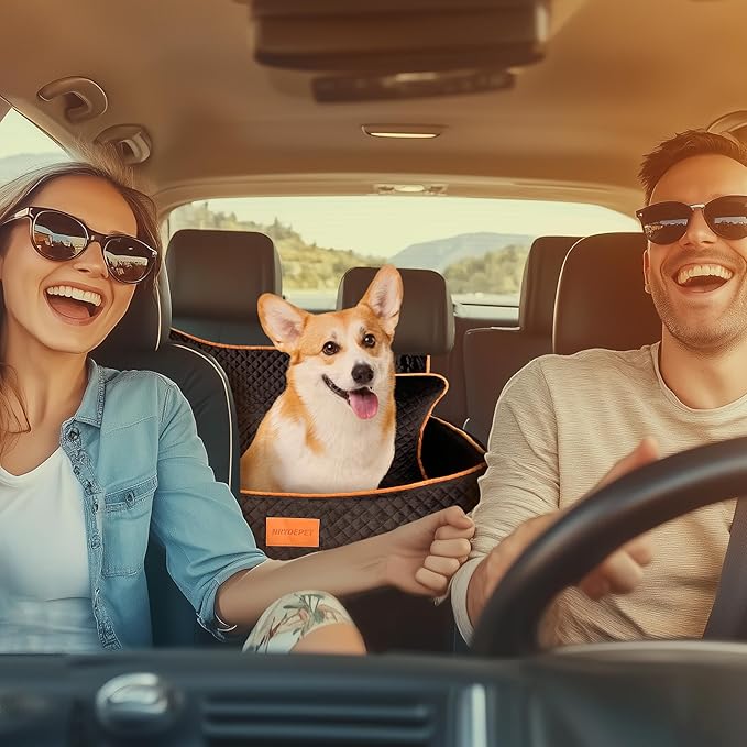 Dog Car Seat for Medium Dogs or 2 Small Dogs, Memory Foam Booster with Bonus Pillow & Removable Washable Cover, 2 Safety Leashes, Anti-Slip Base - Supports 50lbs (Black)