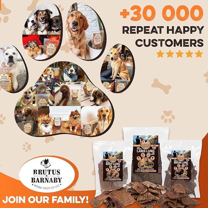 BRUTUS & BARNABY Bison Lung Fillets for Dogs – 100% USA-Sourced Single Ingredient Dog Treat – High Protein, Healthy, All-Natural Dog Chews – Grain-Free, No Additives, (8oz) – Made in The USA