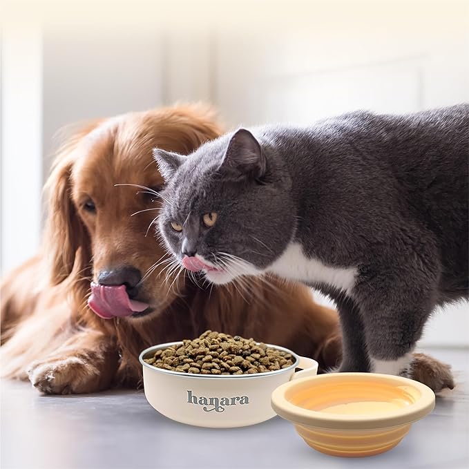 2-in-1 Insulated Dog Bowl with Collapsible Lid & Handle – Stainless Steel, Non-Slip Rubber Base – Portable Pet Water & Food Bowl for Dogs & Cats – 30 OZ + 20 OZ – Indoor & Outdoor (Beige)