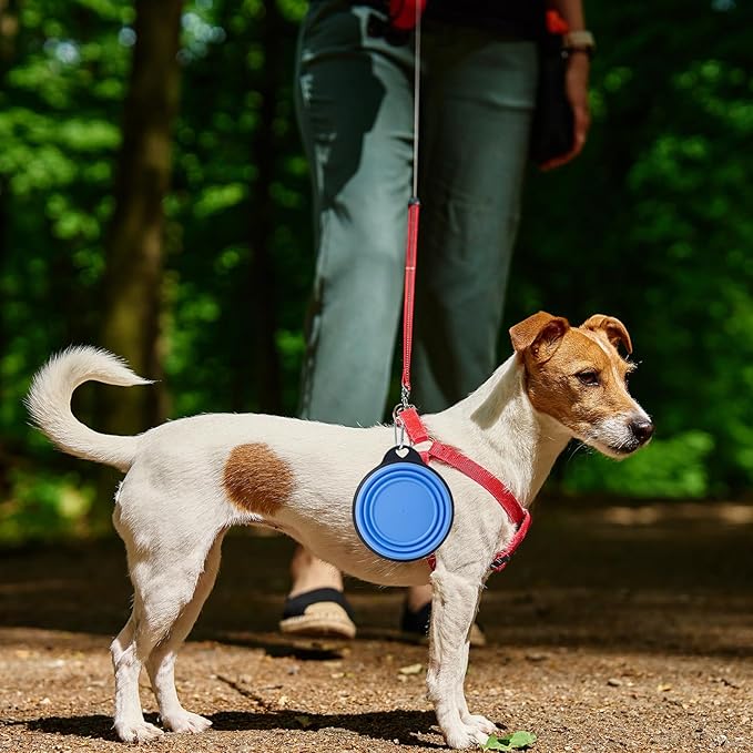 SLSON Dog Bowls Collapsible Pet Travel Feeder, 2Pack Integrated Molded Reinforced Rim Cat Water Dish Lightweight Foldable Food Dispenser for Pets Walking Parking Camping,Green and Blue,Small