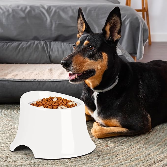 Tilted Elevated Dog Bowls Non-Slip & Non-Spill Pet Feeder with Elevated Detachable Melamine Stand, High Capacity Tilted Dog Bowl for Medium Small Size Dogs M/2 Cup White