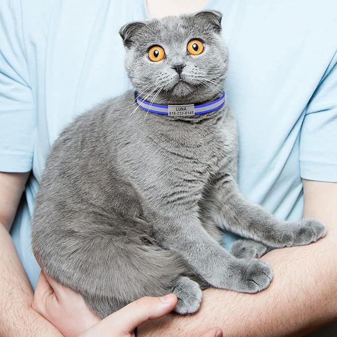 Cat Collar Personalized - Breakaway Reflective Cat Collar with Bell-Custom Cat Collars Engraved with Name and Phone, Adjustable for Cats and Kitten