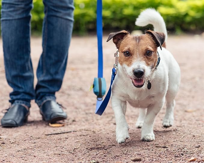 Cutie's PetBox Waste Bag Holder Pouch and Dispenser with Zipper for Dog Leashes, Durable Lightweight Nylon (Blue)