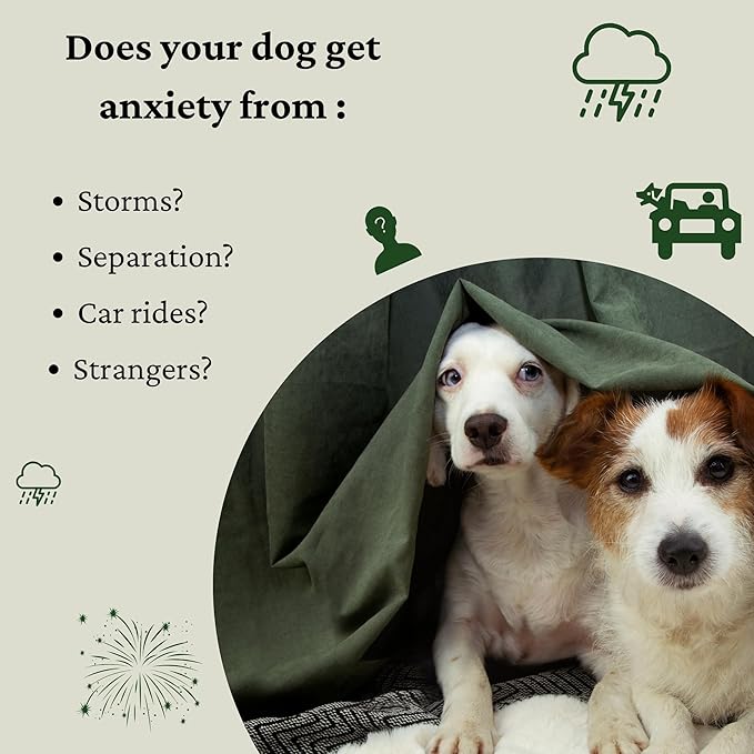 Calming Dog Treats for Anxiety Relief – Melatonin, Chamomile & L-Theanine | Sleep & Stress Support for Travel, Thunder, Barking
