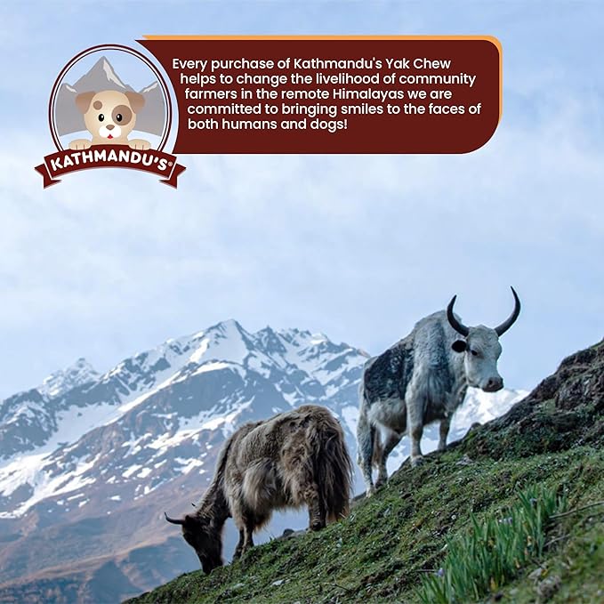 KATHMANDU'S Crunchy Yak Cheese Puff - (6 oz) All Natural & Healthy Dog Treat, Chewy Puffs Training Treats for Dogs | Small Calming Yak Chews