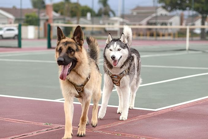 Auroth Tactical Dog Training Harness No Pulling Front Clip Leash Adhesion Reflective K9 Pet Working Vest Easy Control for Small Medium Large Dogs Blue Camo M