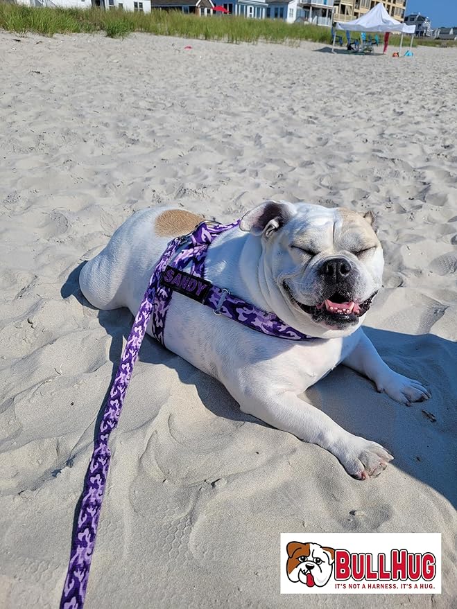 BULLHUG 6 FT Bulldog Leash with Padded Handle. Perfect for Bulldogs & All Breeds. Leash for Walking & Training (Mint Pink Camouflage)