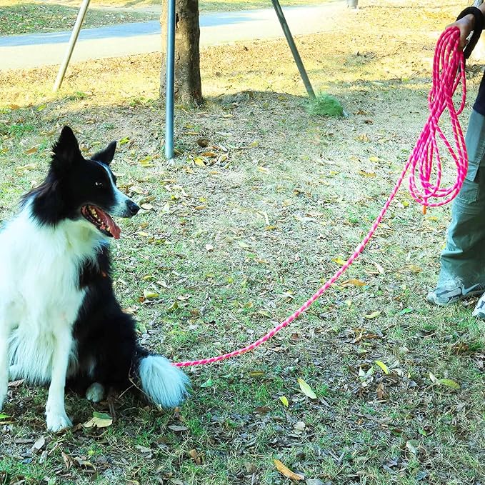 (2 Pack) Long Dog Leash for Dog Training 30FT, Lockable Hook Heavy Duty Dog Lead Tie Out Rope for Large Medium Small Dogs Outside Walking, Playing, Camping, or Yard(Black&Pink)