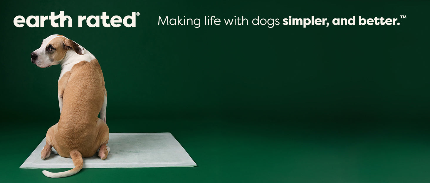 Eco-Friendly Pet Supplies