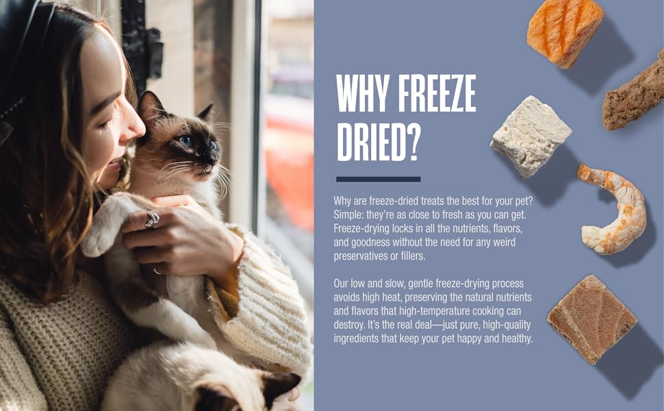 Products for Siamese Cats