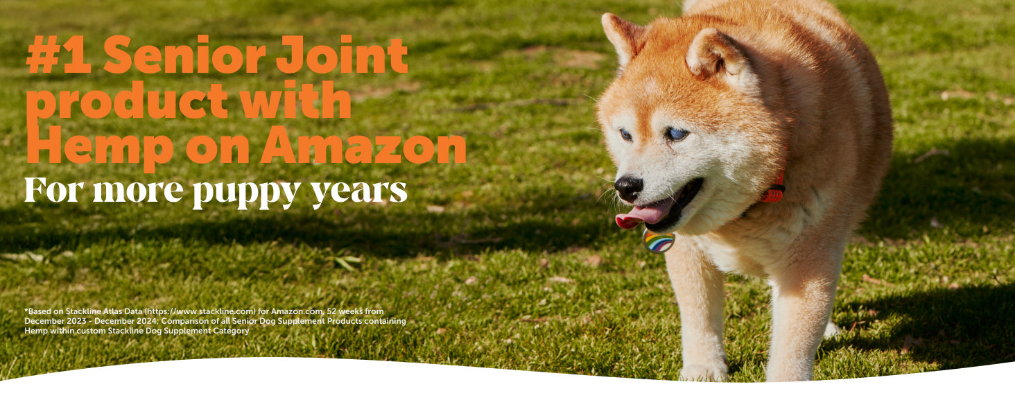 Joint Support for Pets