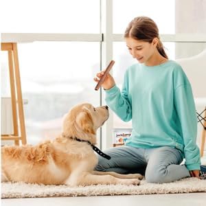 Jack&Pup 6" Collagen Stick 10pk