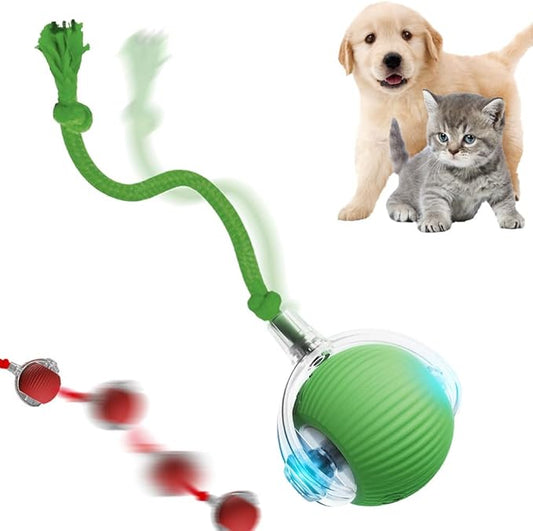 Interactive Cat Toy, 2025 New Cat Toy for Indoor Cats, Intelligent Rolling Ball Toys, Kitten Toys for Bored Indoor Cats/Dogs (Green)