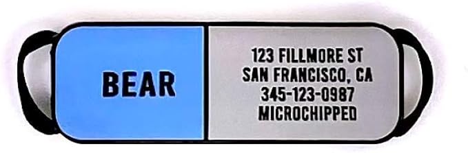 LYP Soundless Slide-On Collar ID Tag - Deep Engraved Silicone – Engraving Will Last - Pet ID Tags, Dog Tags, Cat Tags (Blue, Small)