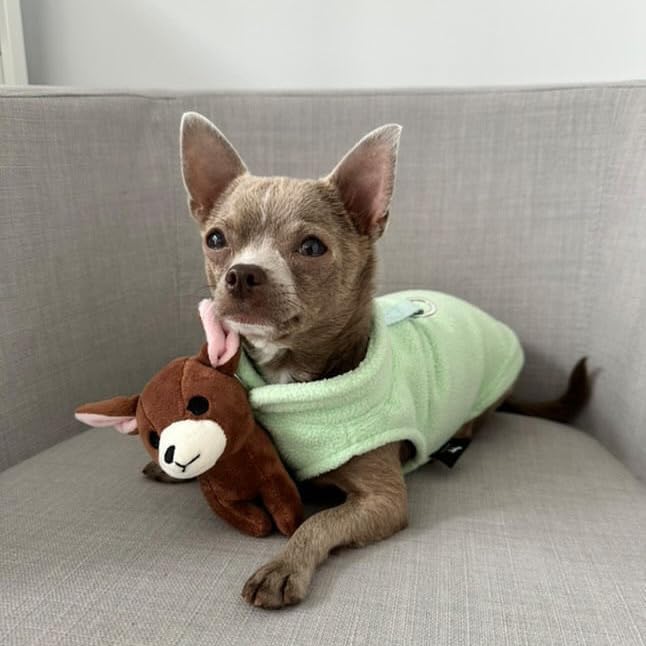 JACKO & CO - Fleece Vest Dog Sweater with Leash Ring - Soft, Warm & Lightweight Pullover Coat for Small & Medium Dogs, Puppies & Cats - Cozy Fall/Winter/Spring Pet Jacket (Mint Green, X-Small 3lbs)