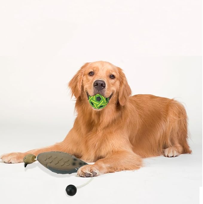 Dead Bird Dummy Bumper for Hunting Dog Training - EVA Foam Dog Toy Decoy for Outdoor Waterfowl Retriever (Training Ball Included)