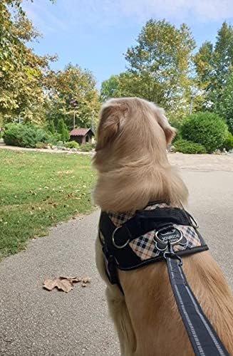 Joyride Harness 2-in-1 Leash with Seat Belt Combo, 43” Dual Use Pet Safety Seatbelt, Dual Handle and Car Safety Buckle, Thick Heavy Duty Nylon & Retractable Harness Clasp - Reflective Safety Stitching