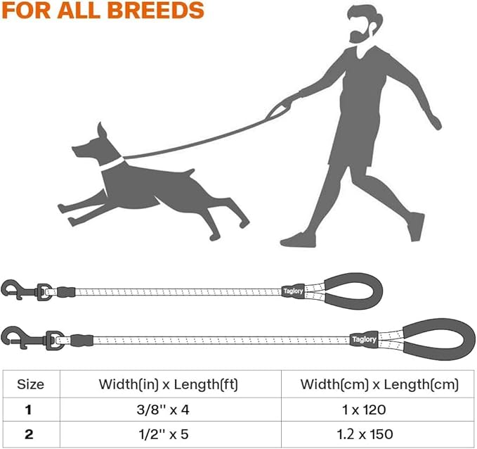 Taglory Rope Dog Leash 4 FT with Comfortable Padded Handle, Highly Reflective Threads Leash for Small Dogs, 3/8 inch, Orange