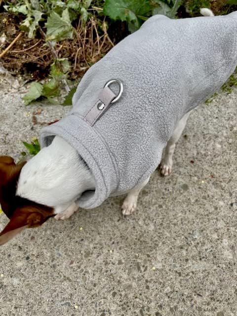 JACKO & CO - Fleece Vest Dog Sweater with Leash Ring - Soft, Warm & Lightweight Pullover Coat for Small & Medium Dogs, Puppies & Cats - Cozy Fall/Winter/Spring Pet Jacket (Grey, Small 4-6lbs)