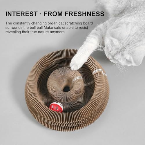 2PC Kitty Curls Cat Scratcher,Magic Organ Cat Toy,Cat Scratcher for Grinding Claw Cardboard Cat Toys,Interactive Scratch Pad with Toy Ball