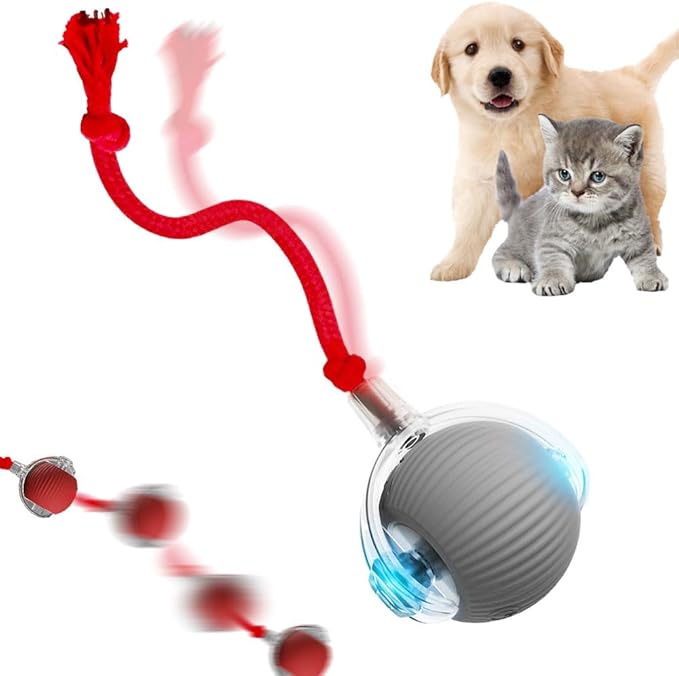 Interactive Cat Toy, 2025 New Cat Toy for Indoor Cats, Intelligent Rolling Ball Toys, Kitten Toys for Bored Indoor Cats/Dogs (Grey)