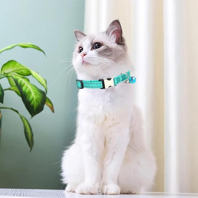 Teal Cat Collar with Bell, Reflective Nylon X-Small Puppy Collars Soft Adjustable Buckle for XXS XSmall Small Puppy Female Tiny Pets Dogs Boy Girl Kitten Yorkie Chihuahua XS