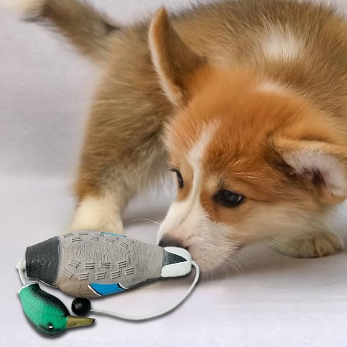 2 Pcs Foam Duck Dummy Bumper - Retriever Hunting Dog Training Toys for Waterfowl Recognition & Retrieval, Duck Decoys - Durable Puppy Dog Trainer