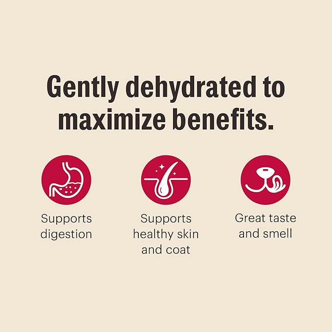 The Honest Kitchen Wholemade™ Whole Grain Chicken Dog Food, 7 lb Box