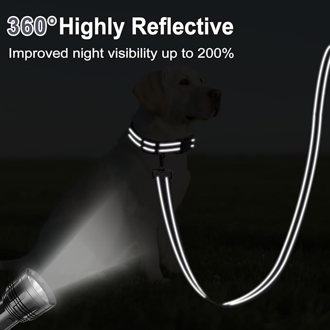 4FT Reflective Nylon Dog Leash with Soft Padded Handle for Walking, Running and Training, Supports Small Medium and Large Dogs (Grey, 3/4 Inch Wide)