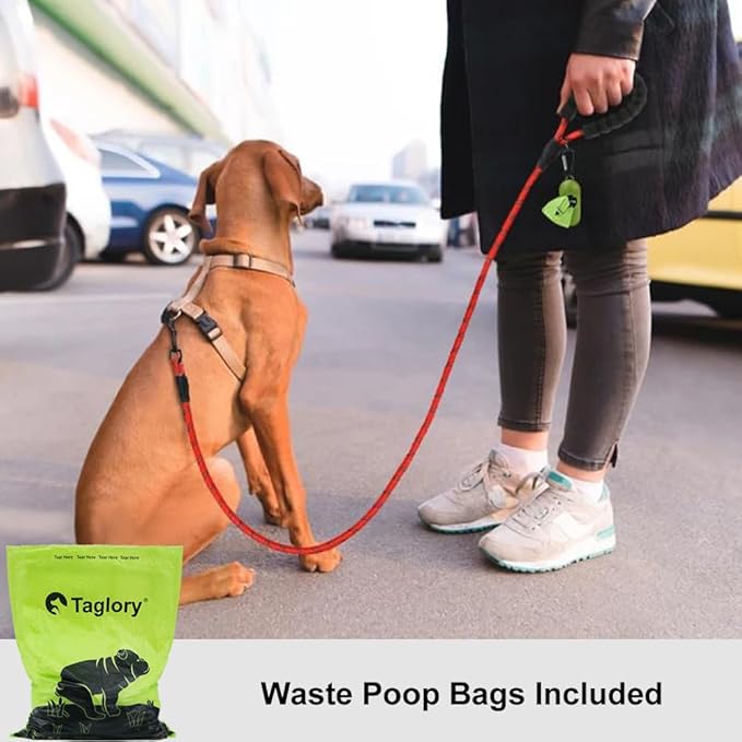 Taglory Rope Dog Leash 5 FT with Comfortable Padded Handle, Highly Reflective Threads Leash for Small Dogs, 3/8 inch, Red