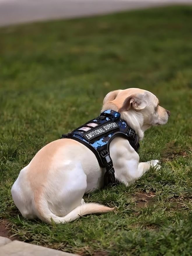 Auroth Tactical Dog Training Harness No Pulling Front Clip Leash Adhesion Reflective K9 Pet Working Vest Easy Control for Small Medium Large Dogs Blue Camo M