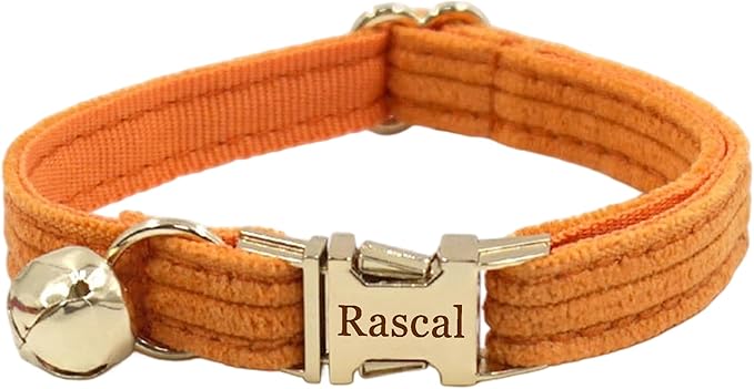 Cute Custom Cat Collar with Bells & Name Tag, Personalized Cat Collars for Girl & Boy Cats, Kitten Collar with Bell (Honey Orange-Striped)