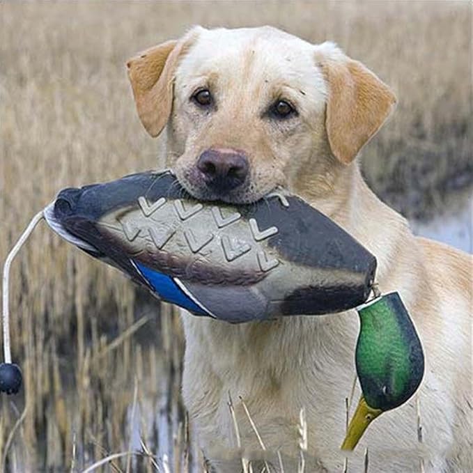 Duck Dummy Bumper: Bird Training Dummy for Training Hunting Dogs, Mimics Dead Duck Bumper Toy for Waterfowl Hunting Retriever Dog Training, Dog Bumper Hunting Dog Accessories