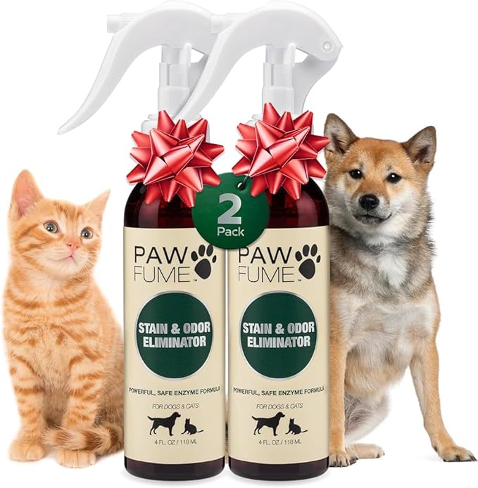 PAWFUME Stain & Pet Urine Odor Eliminator, 2-Pack – Removes Impurities in Seconds – Enzymatic Formula, Quick-Dry Action, & Eco-Friendly Ingredients – Upholstery, Fabrics, and Carpet Cleaner Spray