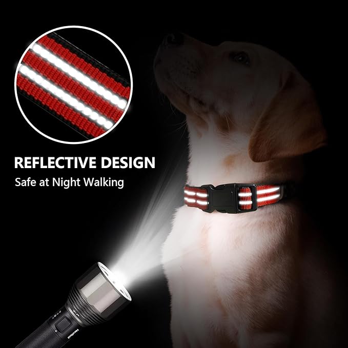 Hikiko Martingale Dog Collars Reflective Nylon Dog Collar with Quick Release Buckle Adjustable Training No Slip Dog Collar (Small, Tangerine)