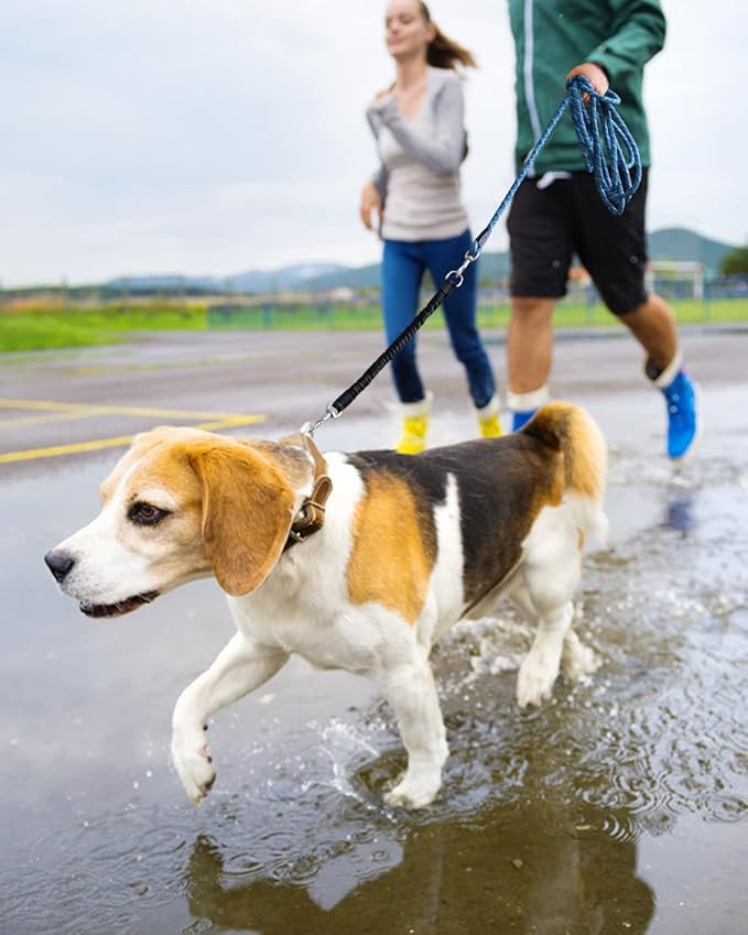 Long Dog Leash with Reflective Threads 15FT 20FT 30FT 50FT,Heavy Duty Bungee Dog Leashes for Small Medium Large Breed Dogs,Shock Absorbing Training Leash for Walking,Hunting,Camping&Yard