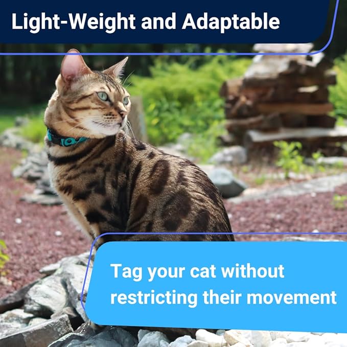 OutdoorBengal Durable Cat Collar Breakaway with Soft Padding for Medium to Large Cats - Thin Heavy Duty Tactical Fabric, Comfortable, Quick Release Breakaway Cat Collars, No Bell Collar (Red, Adult)