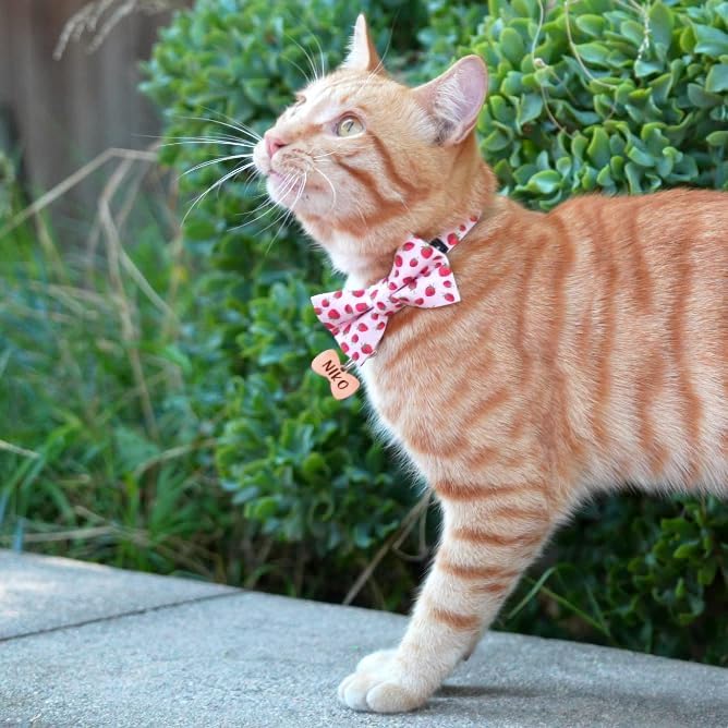 Ultra Joys Cat Collar with Bells - Breakaway for Cats, Boy & Girl Cat Collars Kitten Collar with Bell - Break Away Collar for Cats - Breakaway Cat Collar with Bowtie Strawberry Large