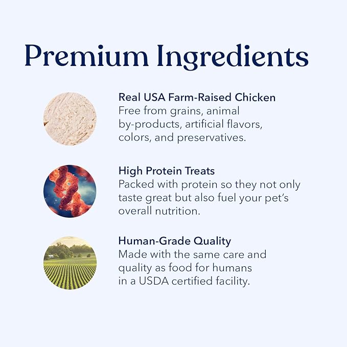 Honest Paws Dog Jerky Treats - All-Natural Jerky Dog Treats for Training Pets - Human Grade Bites - Real USA Chicken