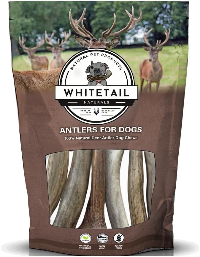 WhiteTail Naturals - Deer Antlers for Extra Small Dogs (12 Pack) Natural Dog Antler Chews for Puppies & Small Aggressive Chewers - Long Lasting Chew Bones