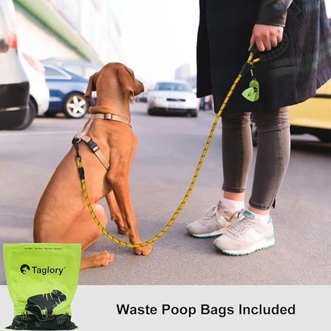 Taglory Rope Dog Leash 6 FT with Comfortable Padded Handle, Highly Reflective Threads Leash for Small Dogs, 3/8 inch, Yellow