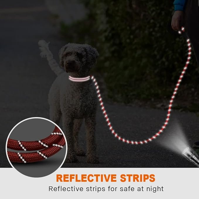 Taglory Rope Dog Leash 5 FT with Comfortable Padded Handle, Highly Reflective Threads Leash for Small Dogs, 3/8 inch, Red
