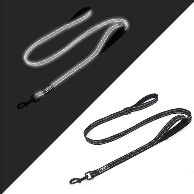 Joyride Harness 2-in-1 Leash with Seat Belt Combo, 43” Dual Use Pet Safety Seatbelt, Dual Handle and Car Safety Buckle, Thick Heavy Duty Nylon & Retractable Harness Clasp - Reflective Safety Stitching