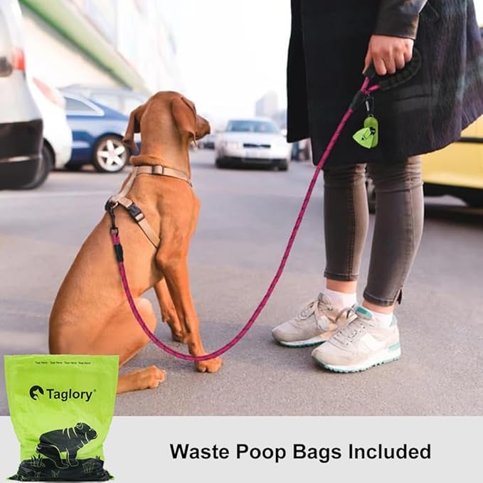 Taglory Rope Dog Leash 5 FT with Comfortable Padded Handle, Highly Reflective Threads Leash for Small Dogs, 3/8 inch, Hotpink