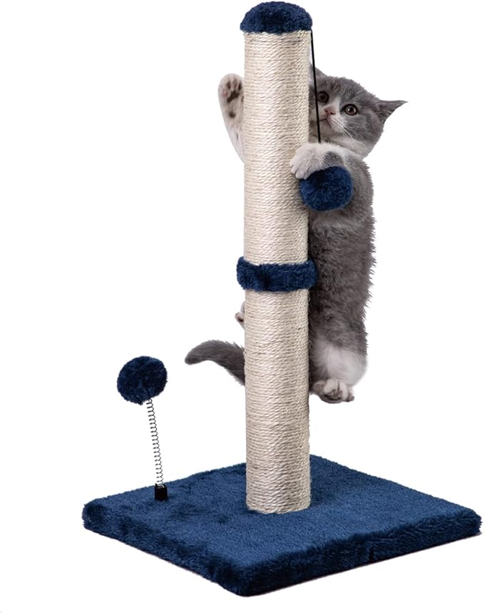MECOOL Cat Scratching Post Premium Basics Kitten Scratcher Sisal Scratch Posts with Hanging Ball 22 in for Kittens or Smaller Cats, Navy