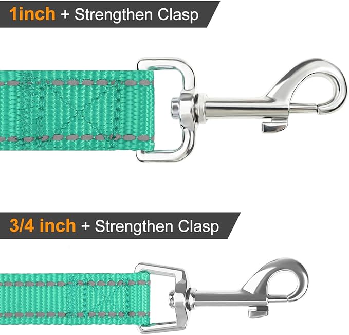 Joytale Double-Sided Reflective Dog Leash, 4 FT, Padded Handle Nylon Heavy Duty Leashes for Medium & Large Dogs Walking, Teal