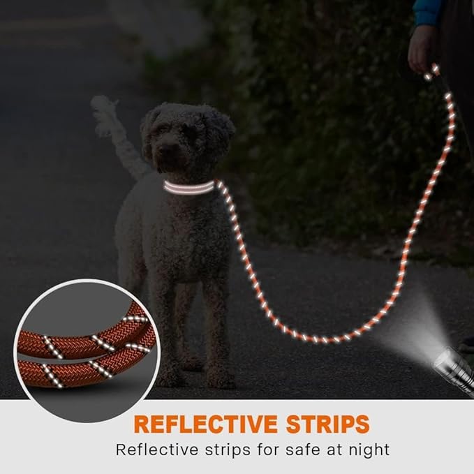 Taglory Rope Dog Leash 4 FT with Comfortable Padded Handle, Highly Reflective Threads Leash for Small Dogs, 3/8 inch, Orange