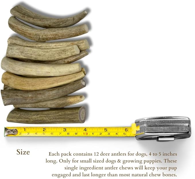 WhiteTail Naturals - Deer Antlers for Extra Small Dogs (12 Pack) Natural Dog Antler Chews for Puppies & Small Aggressive Chewers - Long Lasting Chew Bones